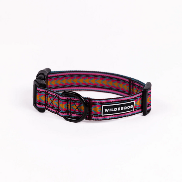 Daybreak Ultralight Collar