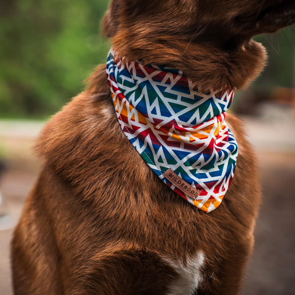 Rainbow Cooling Bandana