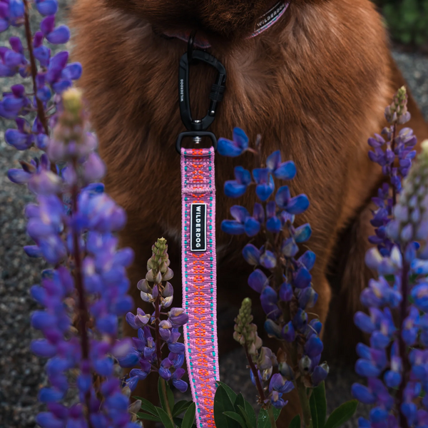 Lilac Ultralight Leash