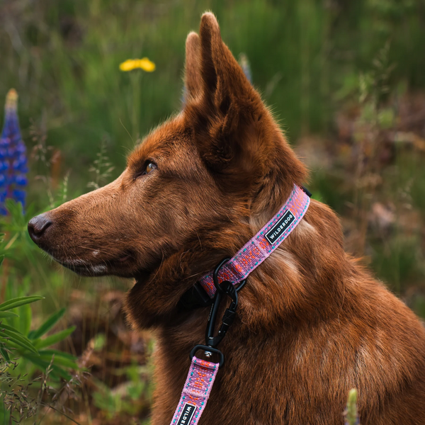 Lilac Ultralight Collar