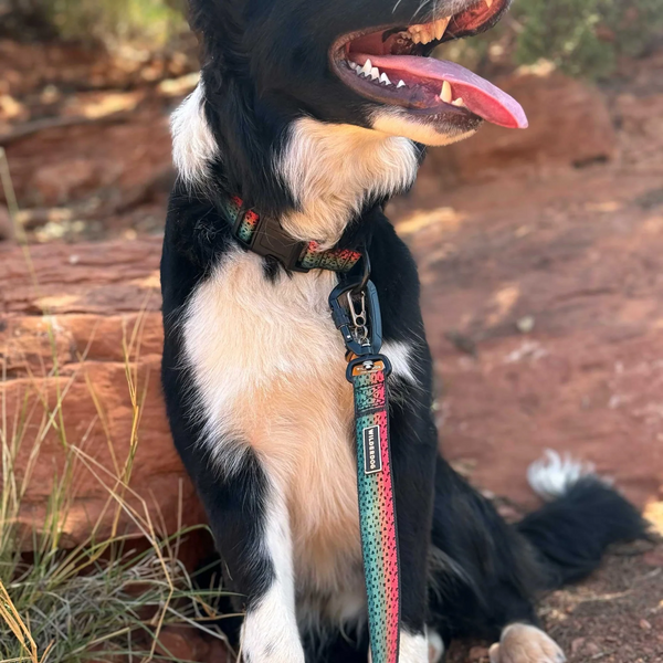 Trout Ultralight Leash