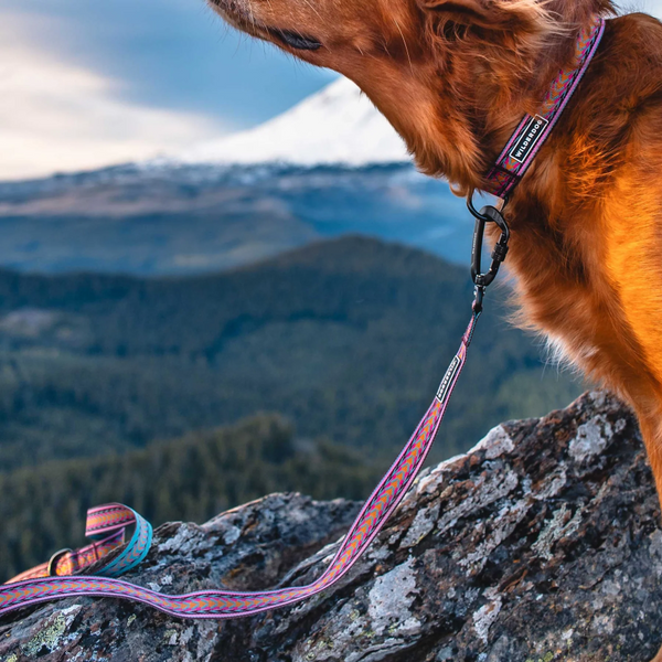 Daybreak Ultralight Leash