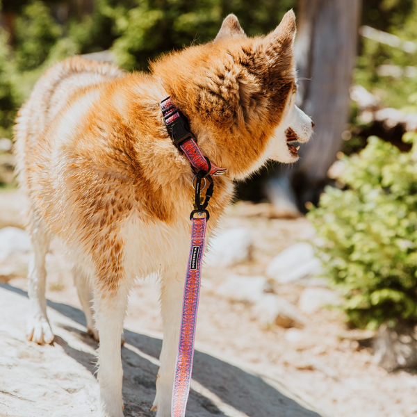 Lilac Ultralight Leash