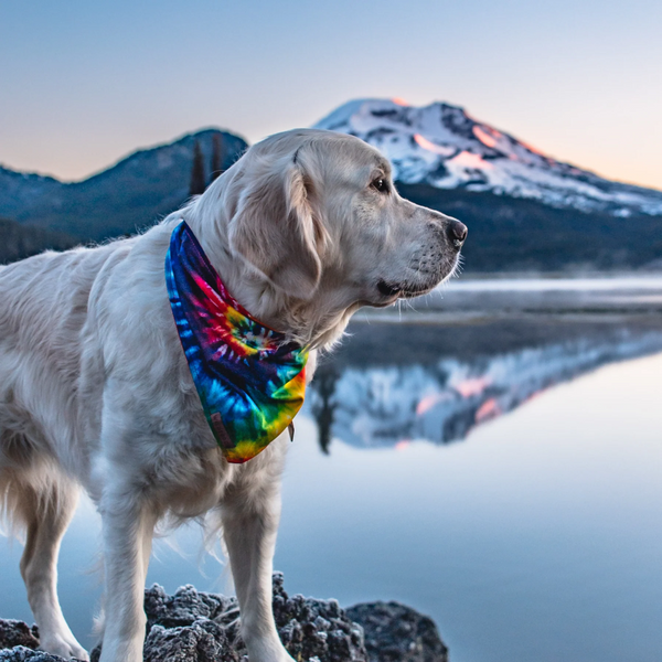 Tiedye Cooling Bandana