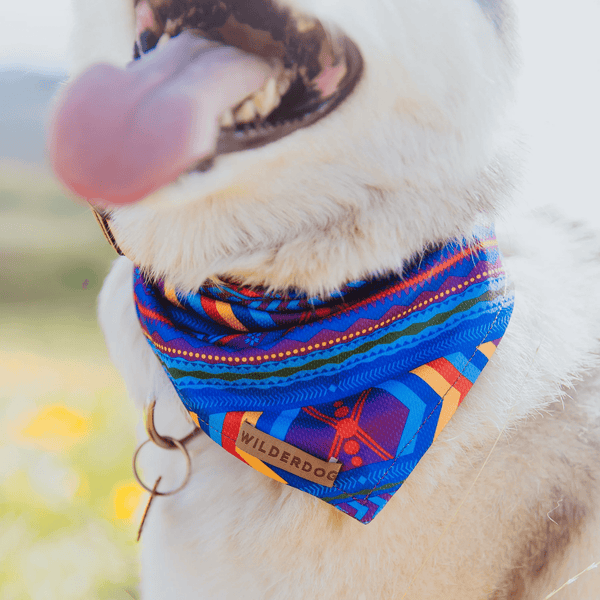 Big Sky Cooling Bandana