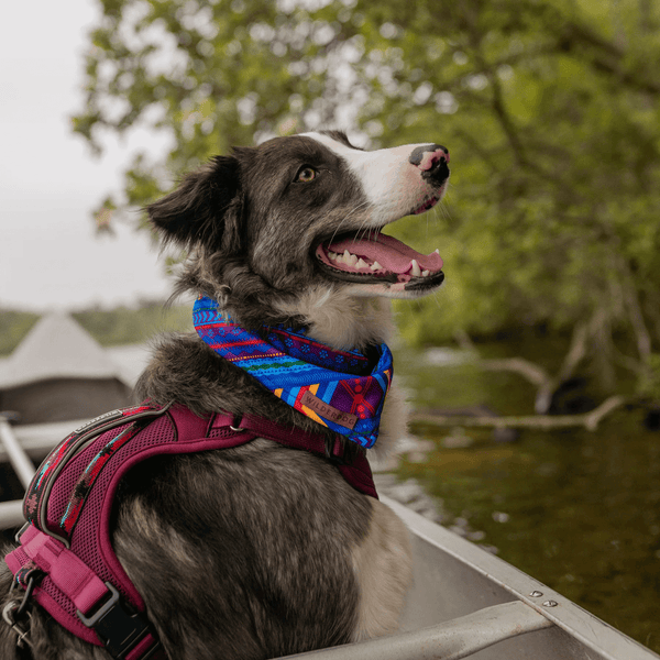 Big Sky Cooling Bandana