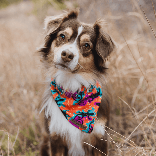 The Lizards Cooling Bandana