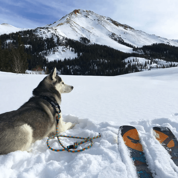 Aprés Rope Leash