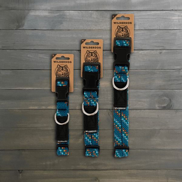 Pacific Blue Reflective Rope Collar