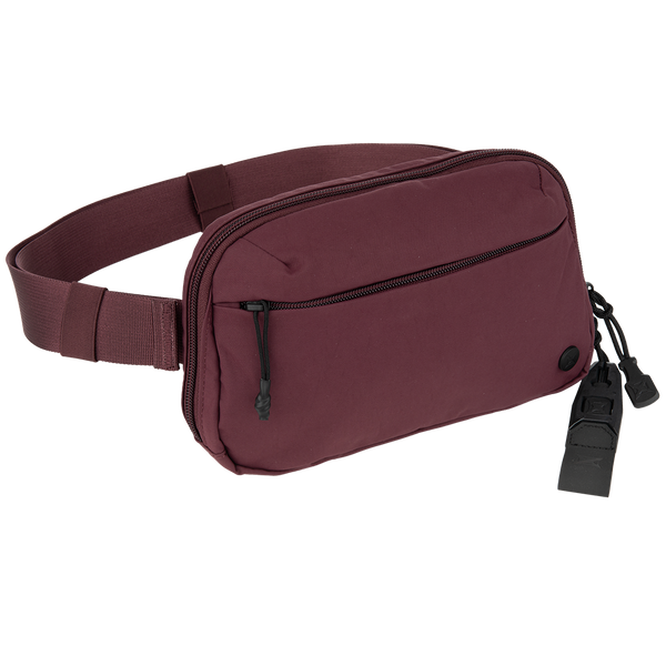 Everyday Fanny Pack 2.0