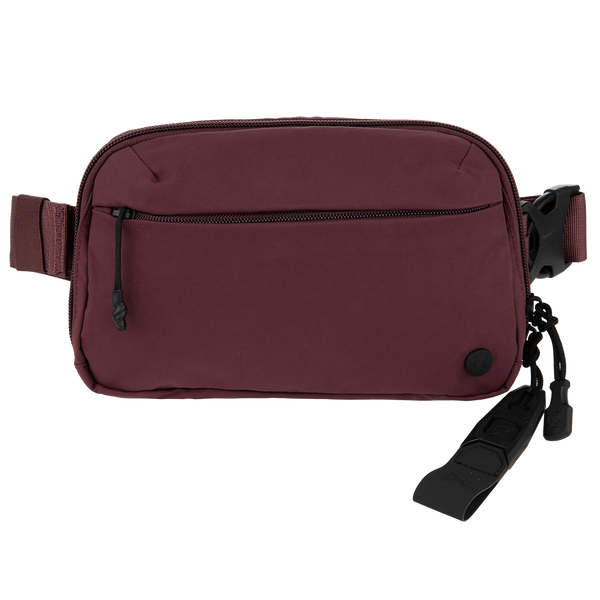 Everyday Fanny Pack 2.0